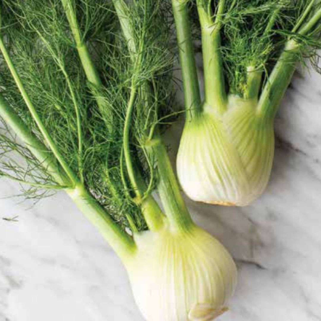 Fennel Bulb Singhania Retail