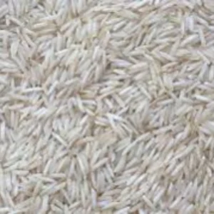 Basmati Rice- 1509 Steam