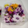 Edible Flowers