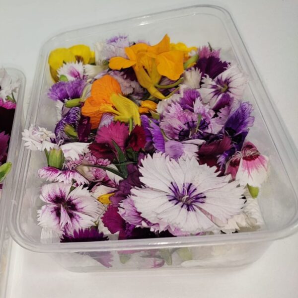 Edible Flowers